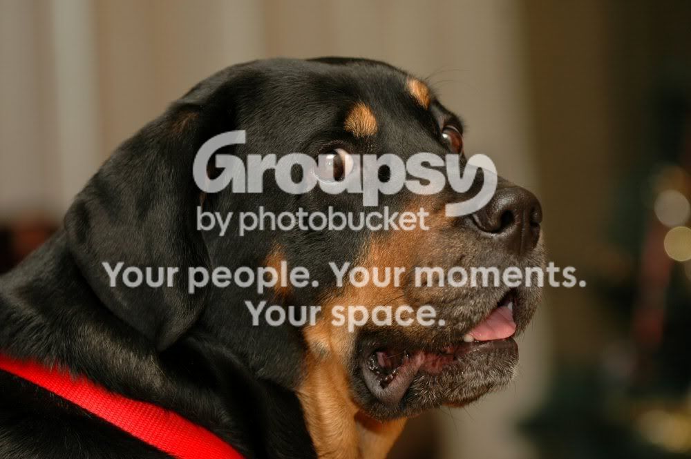 Youagain.jpg