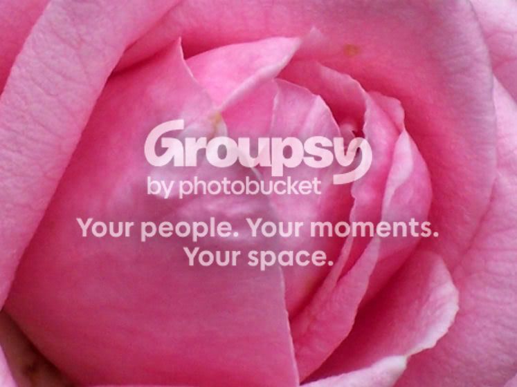 flower6.jpg