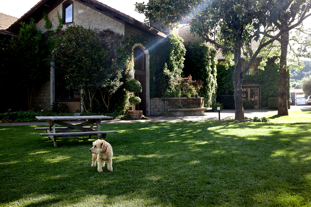 GRAS5408.jpg