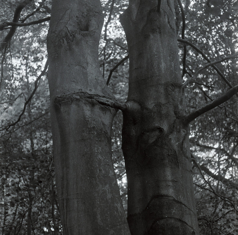 img047-XL.jpg