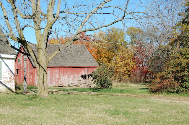 DSC_0211.JPG