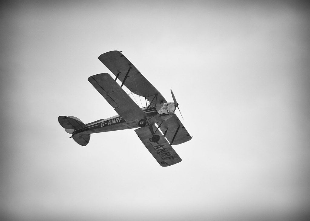 9655054291_49bf4ec860_b.jpg