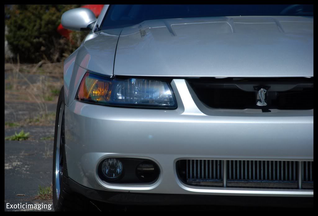 DSC_0037.jpg