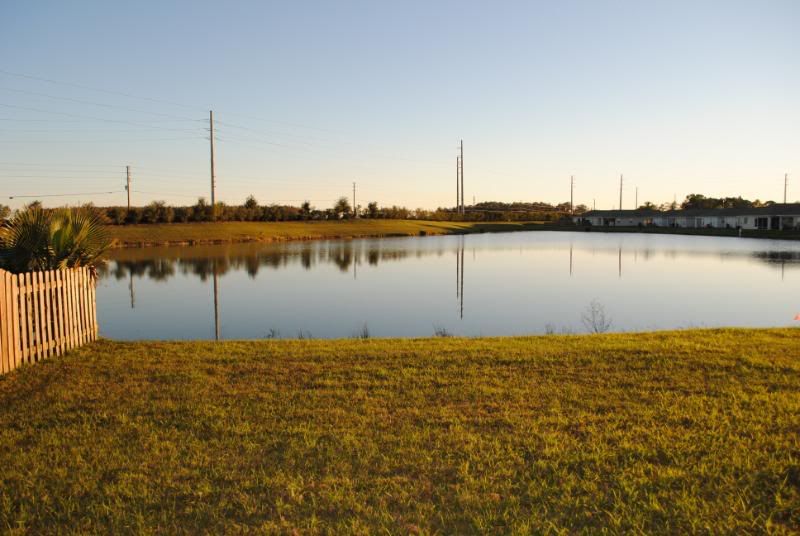 DSC_0044.jpg