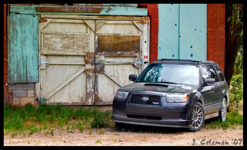DSC_0443_1copy.jpg