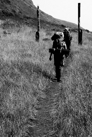 walking.jpg