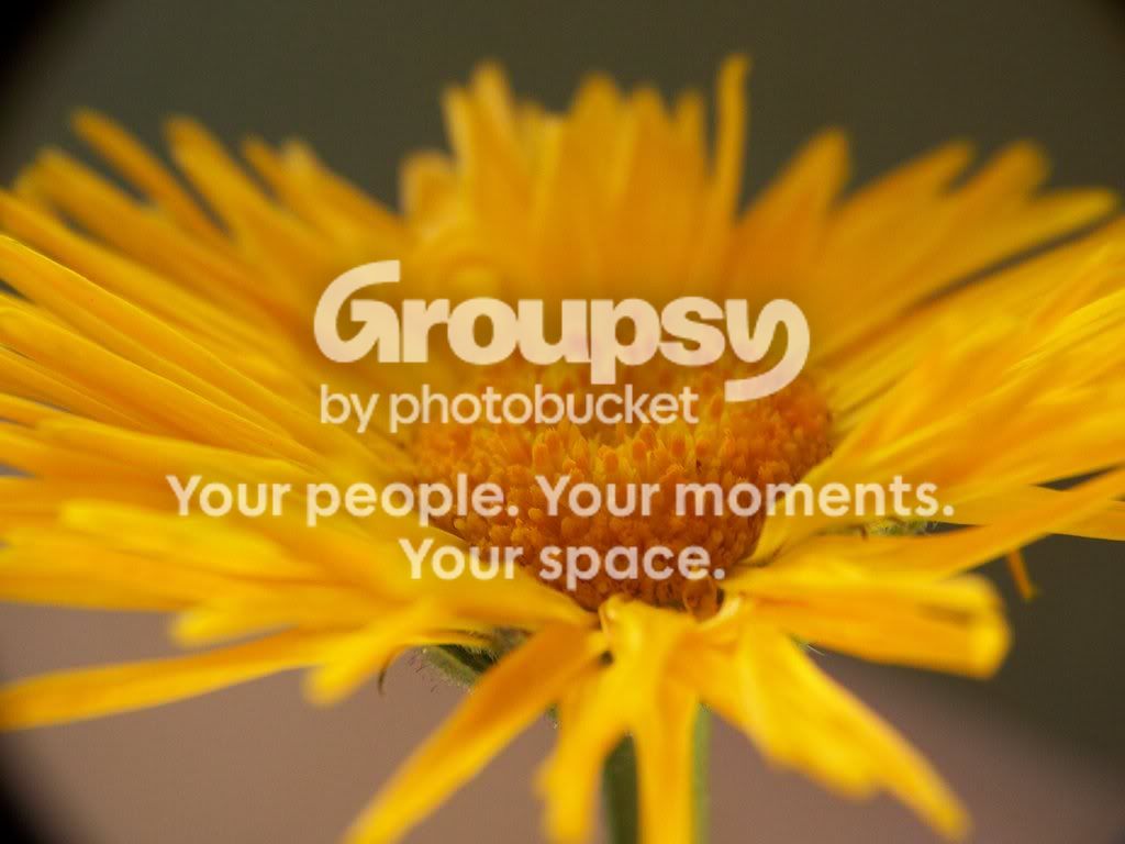 2008-6-28026.jpg