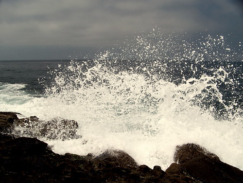450308792_7ab61fb570.jpg