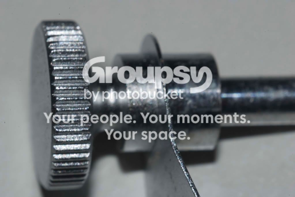 macro-072508a_4.jpg