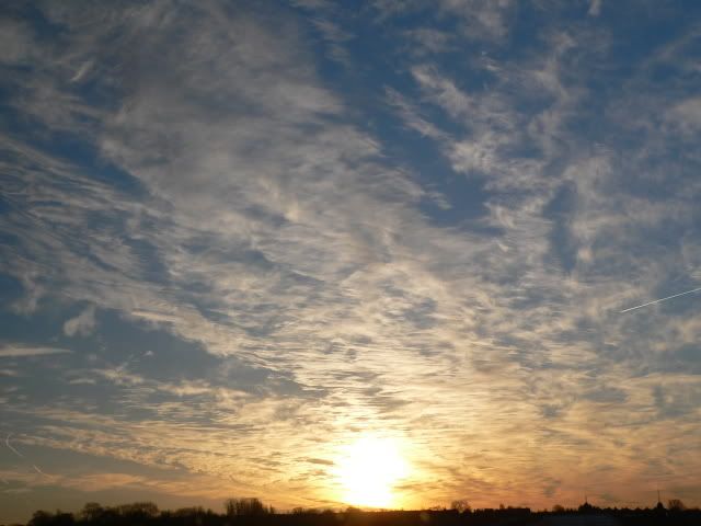 20060209_0132.jpg