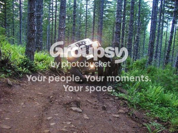 14478-taller_stump2_116-12169.jpg
