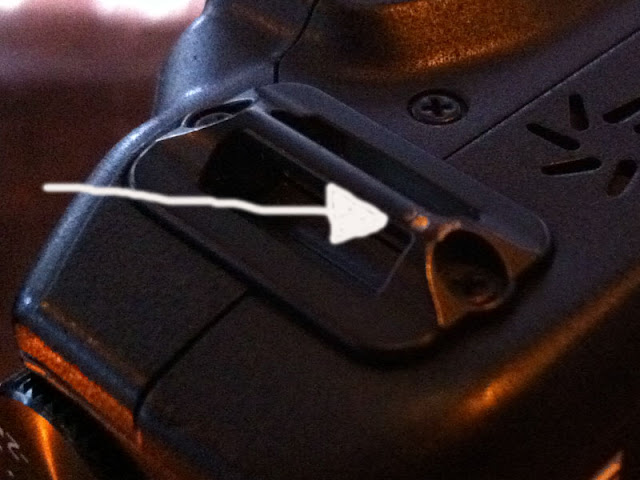 canon01.jpg