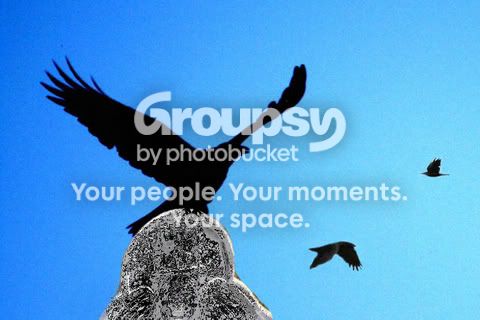 Crow6.jpg