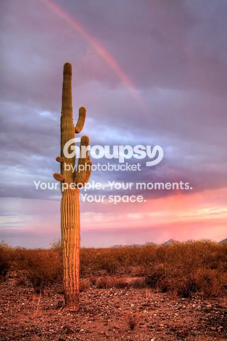 rainbow_4968hdr_f2web.jpg