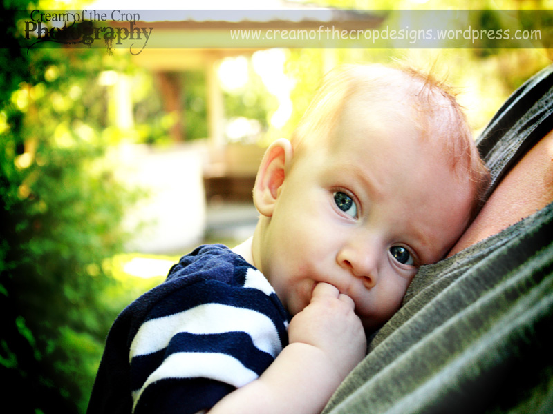 img_0075-copy1.jpg