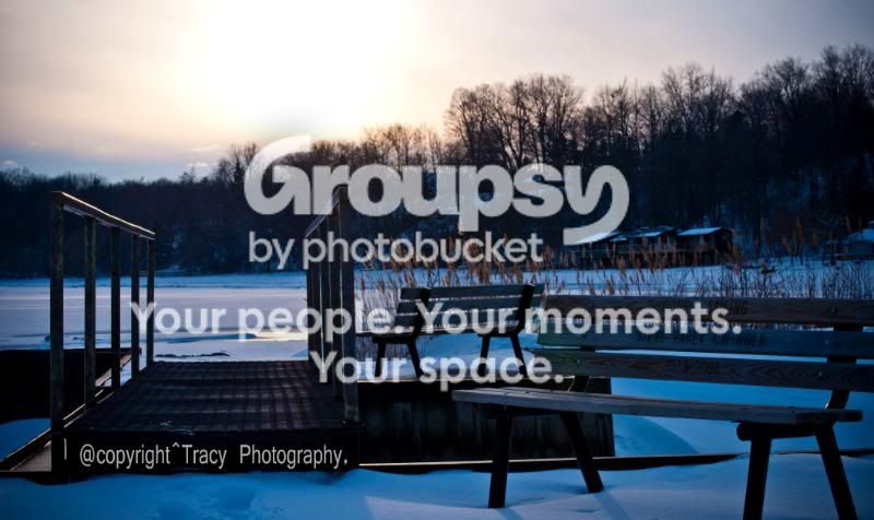 bench2copyright.jpg