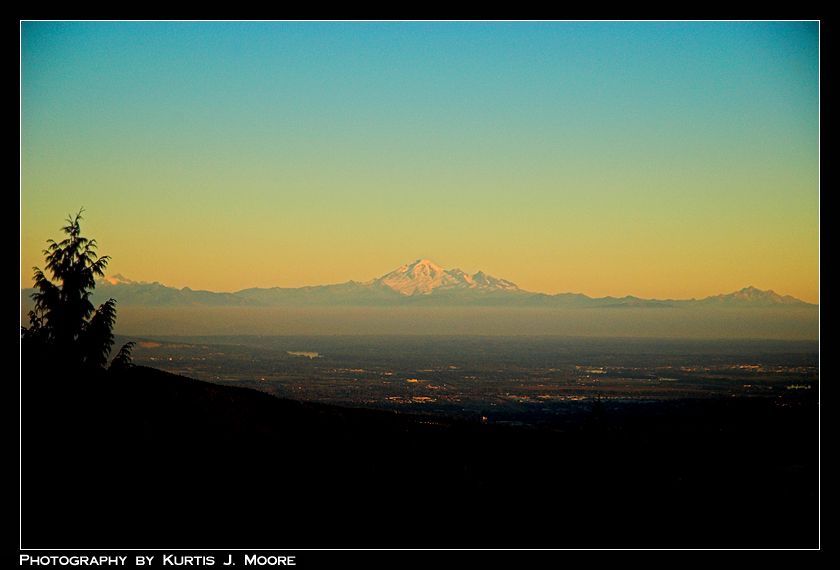 DSC_4950-01.jpg