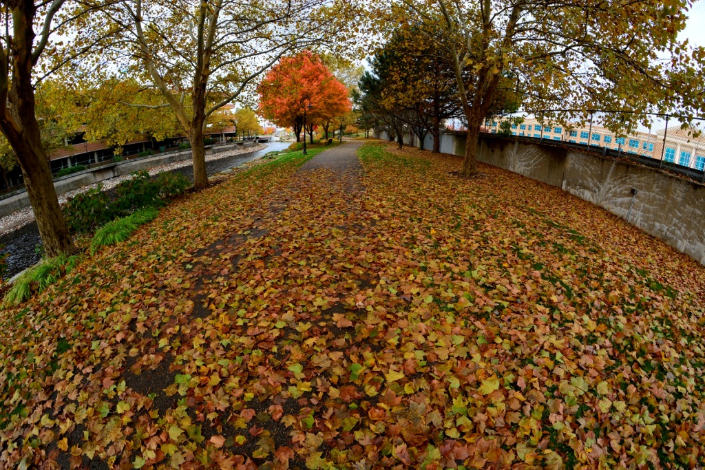 bc-mi_11-2013_25.jpg