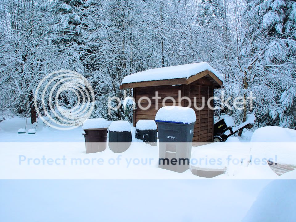 Snow-122108-LowRes.jpg