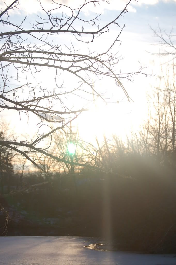 DSC_0225.jpg