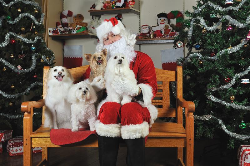 Santa%20(2).jpg