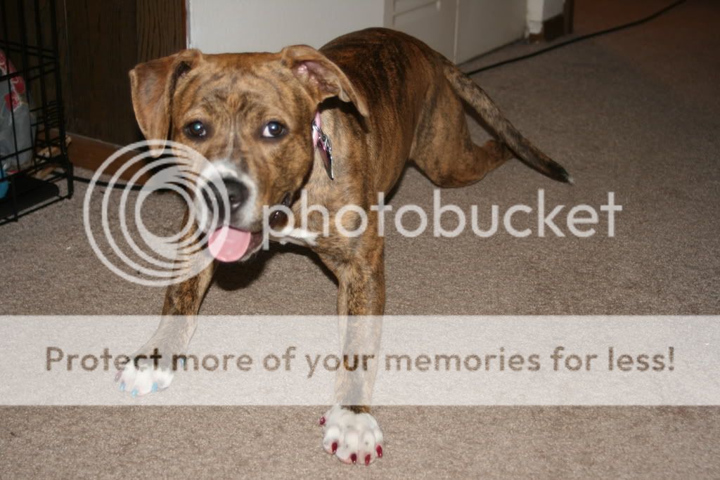 IMG_4336.jpg