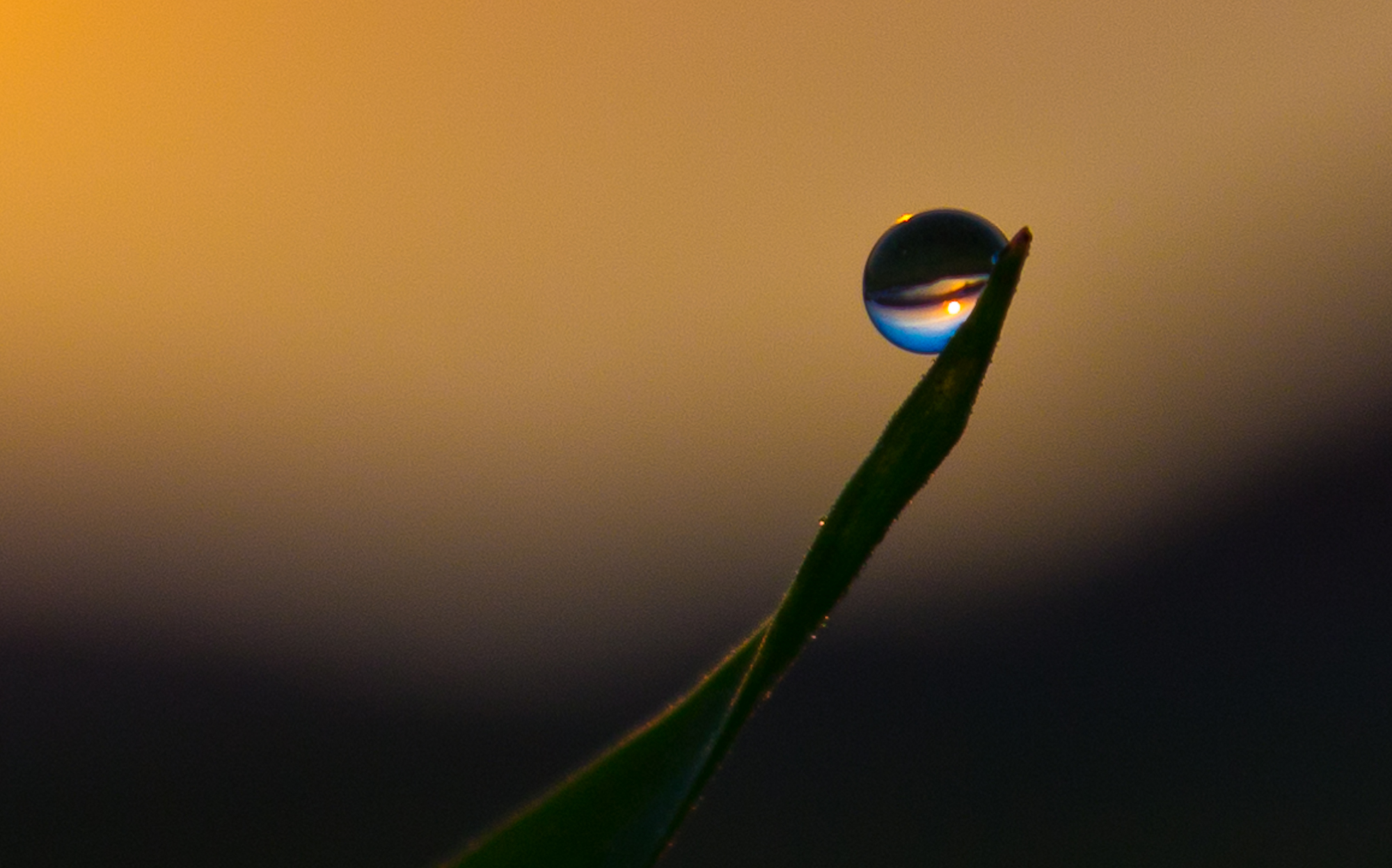 redefine_your_life_by_pianoblack97-d4tctil.jpg
