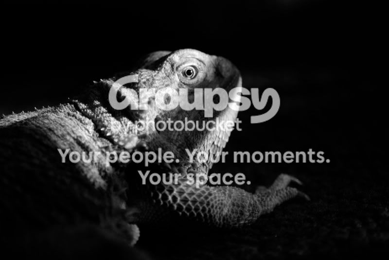 CSC_0305.jpg