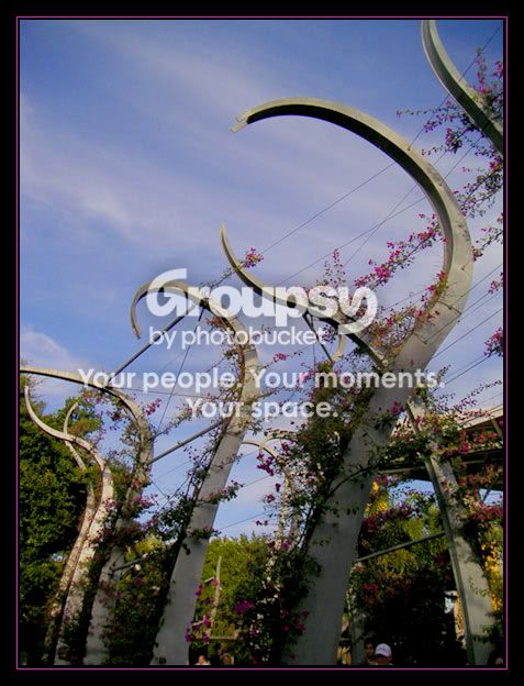 Arbor-South-Bank.jpg