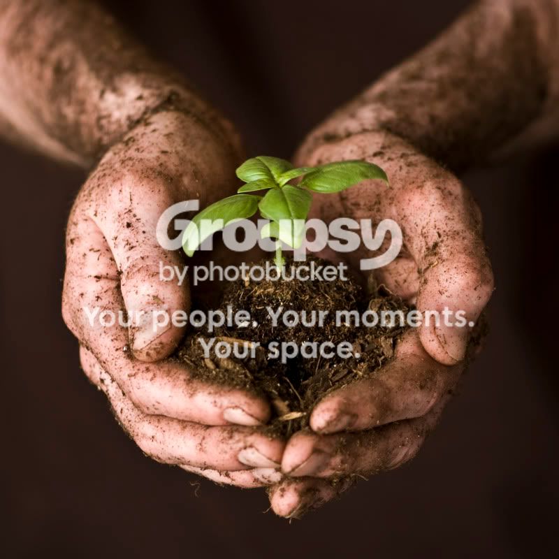 DirtyHands_1867.jpg