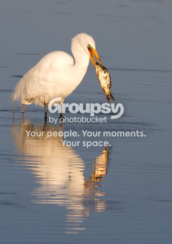 IMG_8434-Edit.jpg