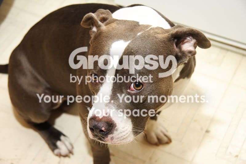 wally069.jpg