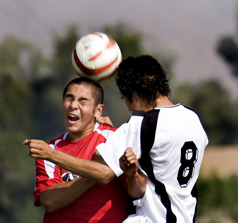 Toros-Blast%206-M.jpg