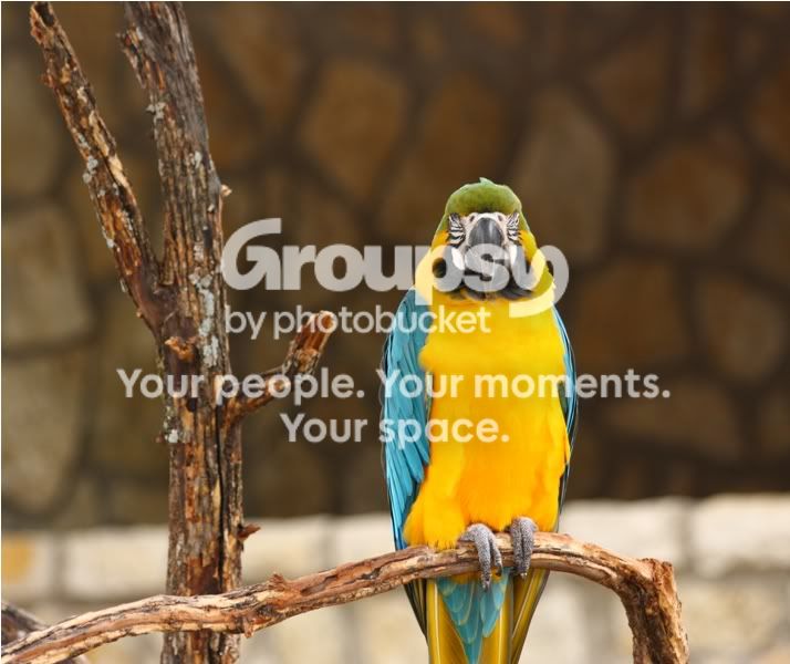 Zoopics030.jpg