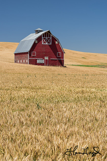 p2503707132-4.jpg