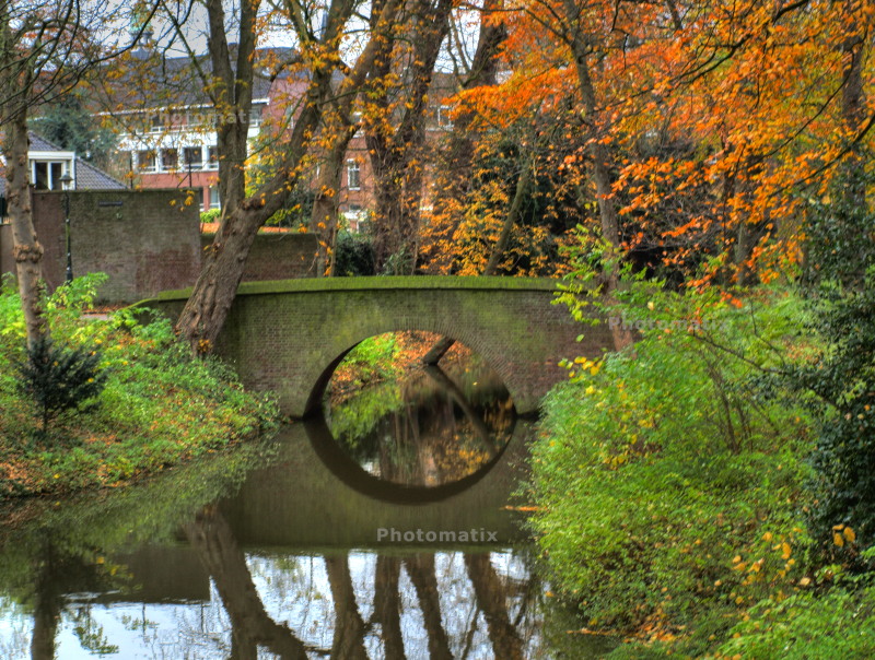 bridge-2.jpg