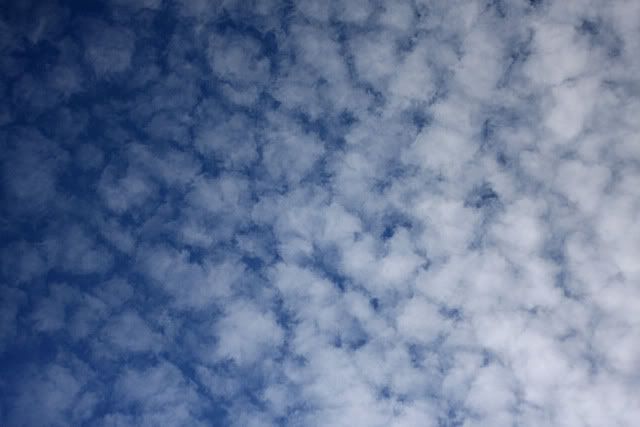 bluesky.jpg