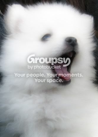 IMG_5449test2.jpg