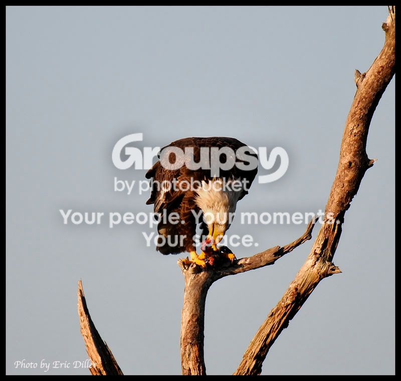 ECD_5219.jpg