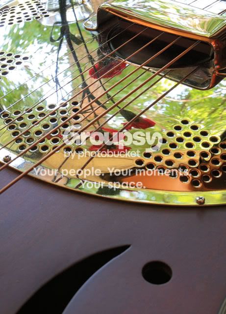 Resonatorwithflowersrev.jpg