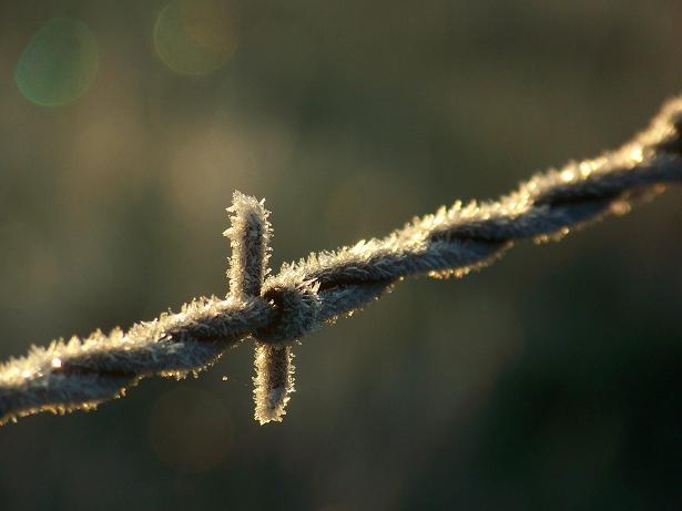 100_7987.jpg