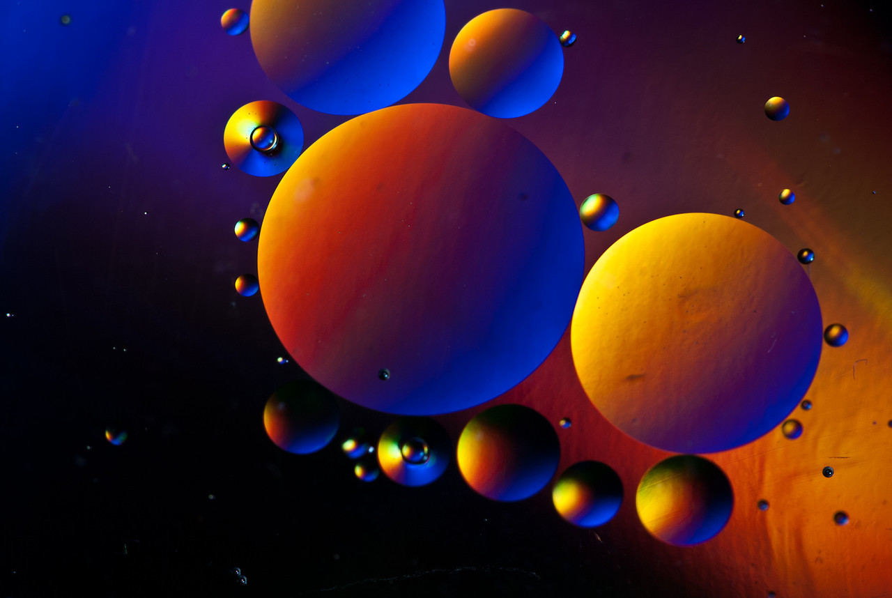 DSC3830-X2.jpg