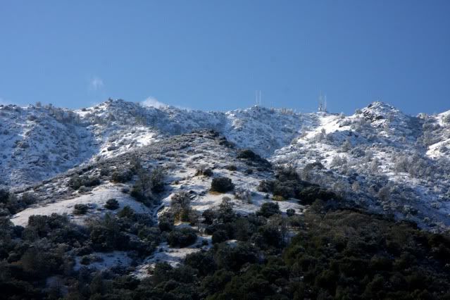 snow2.jpg