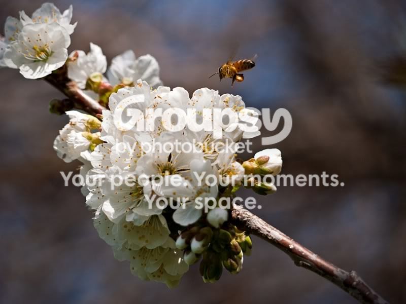 P1020319sm-1.jpg