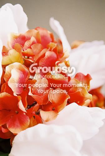 3519721933_6bcf0747a6.jpg
