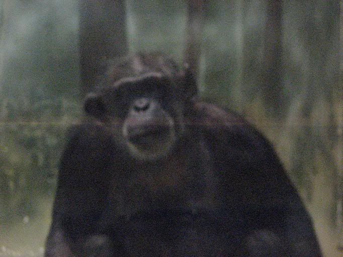 IMG_3743.jpg