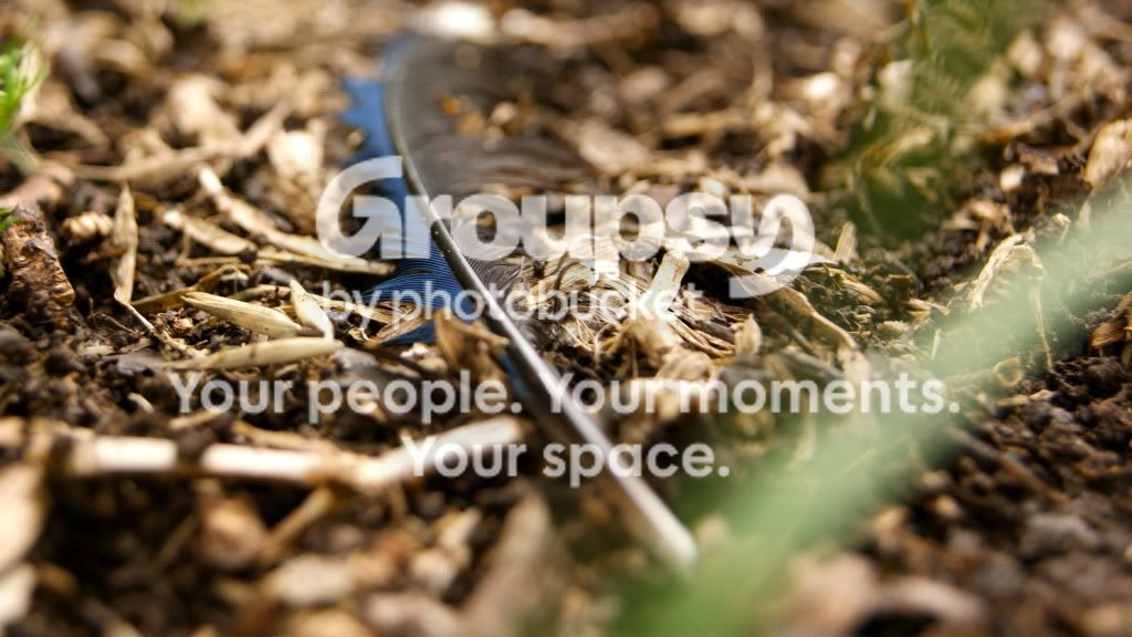 DSC00744.jpg