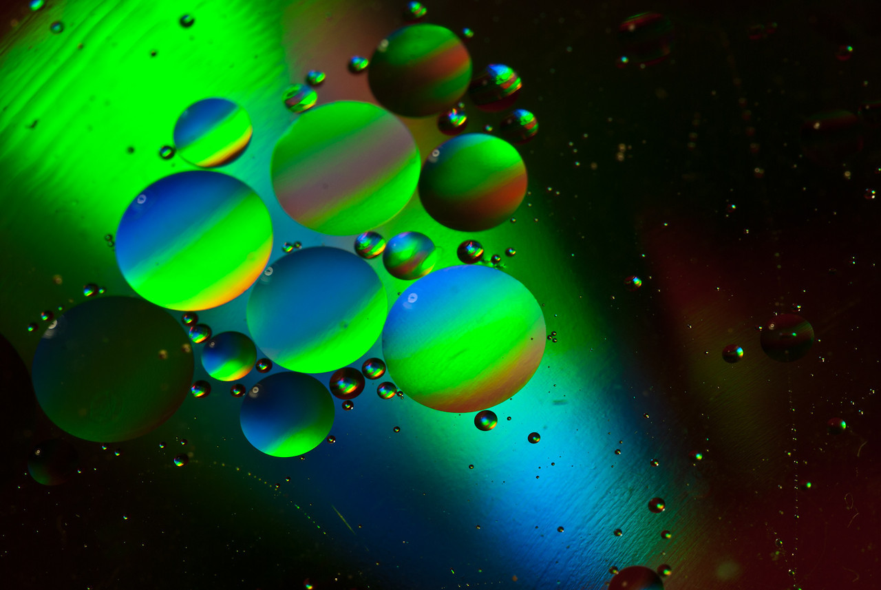 DSC3851-X2.jpg