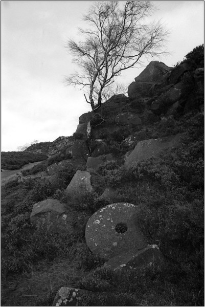 Millstone%20edge017-L.jpg