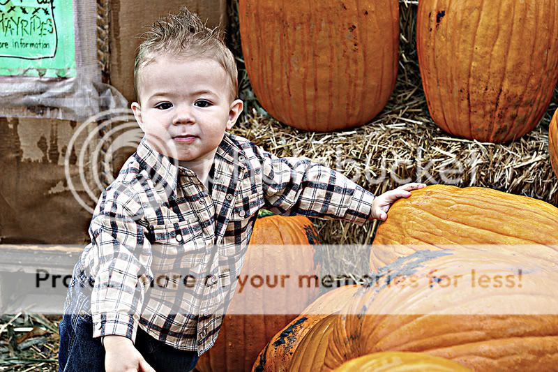 IMG_2872aweb.jpg